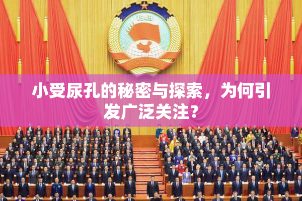 小受尿孔的秘密与探索，为何引发广泛关注？