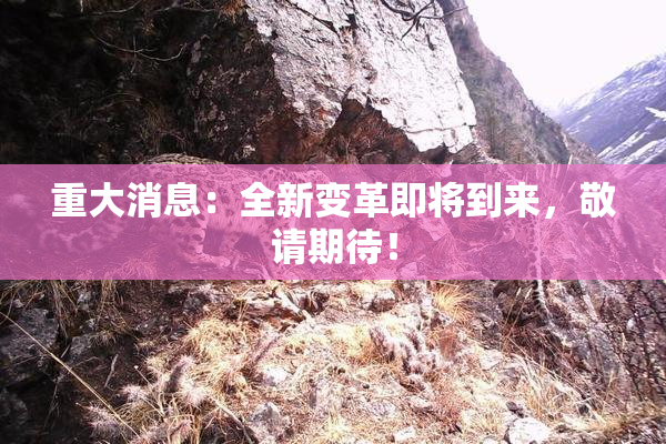 重大消息：全新变革即将到来，敬请期待！