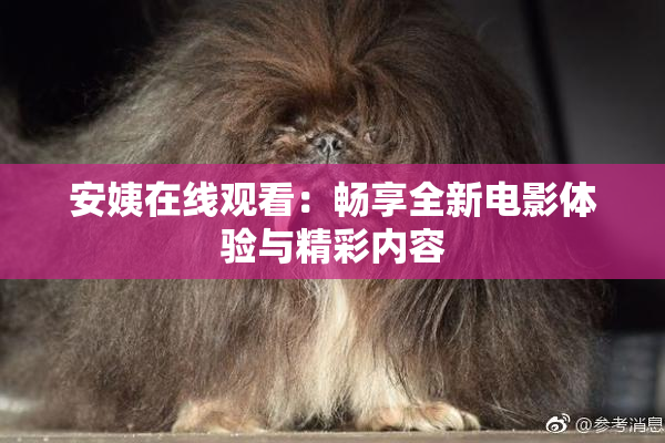 安姨在线观看：畅享全新电影体验与精彩内容
