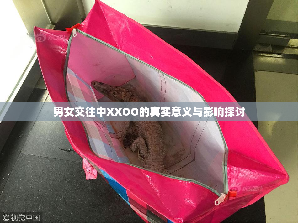 男女交往中XXOO的真实意义与影响探讨