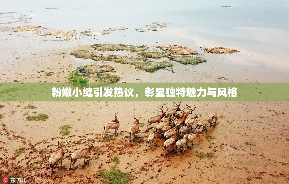 粉嫩小缝引发热议，彰显独特魅力与风格