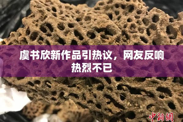 虞书欣新作品引热议，网友反响热烈不已