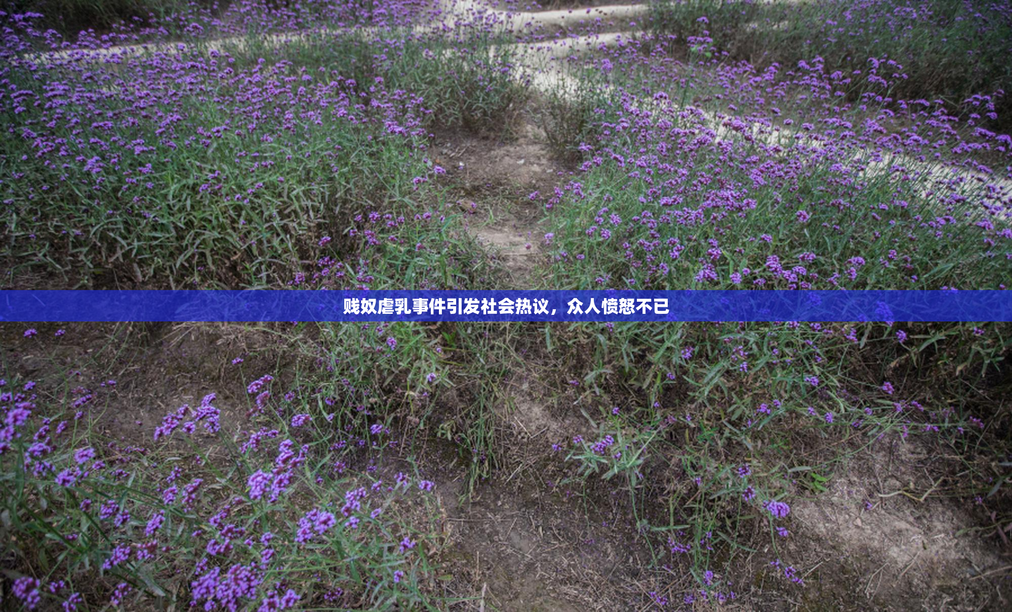 贱奴虐乳事件引发社会热议，众人愤怒不已