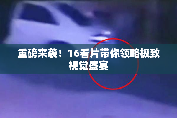 重磅来袭！16看片带你领略极致视觉盛宴