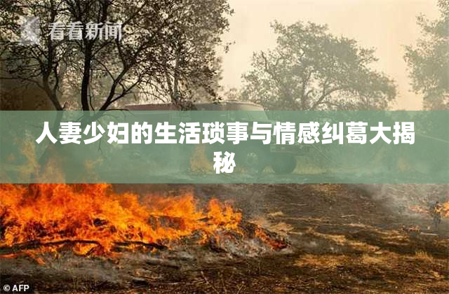人妻少妇的生活琐事与情感纠葛大揭秘
