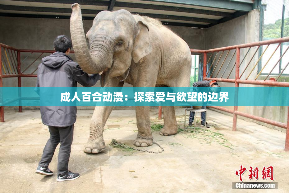 成人百合动漫：探索爱与欲望的边界