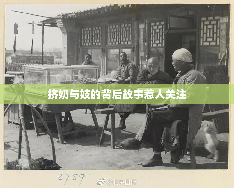 挤奶与妓的背后故事惹人关注