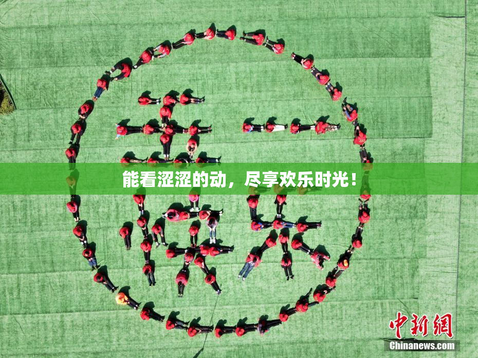 能看涩涩的动，尽享欢乐时光！
