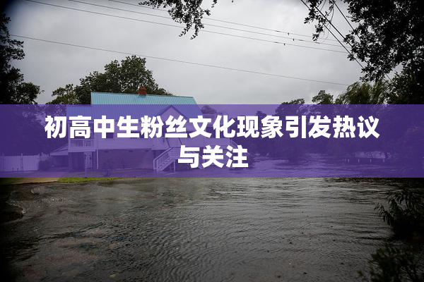 初高中生粉丝文化现象引发热议与关注