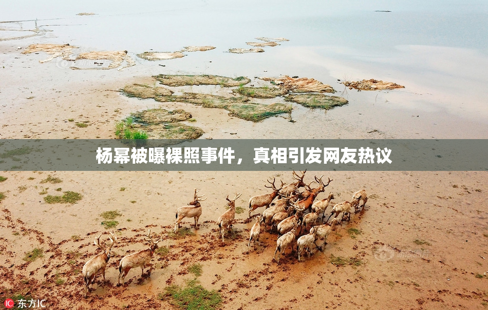 杨幂被曝裸照事件，真相引发网友热议