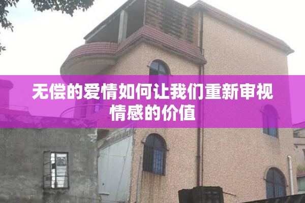 无偿的爱情如何让我们重新审视情感的价值