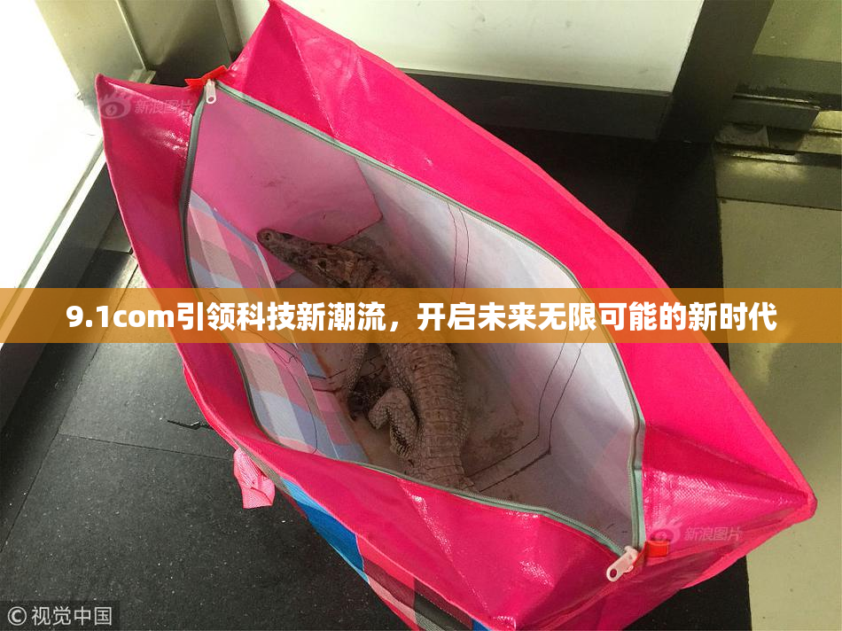 9.1com引领科技新潮流，开启未来无限可能的新时代
