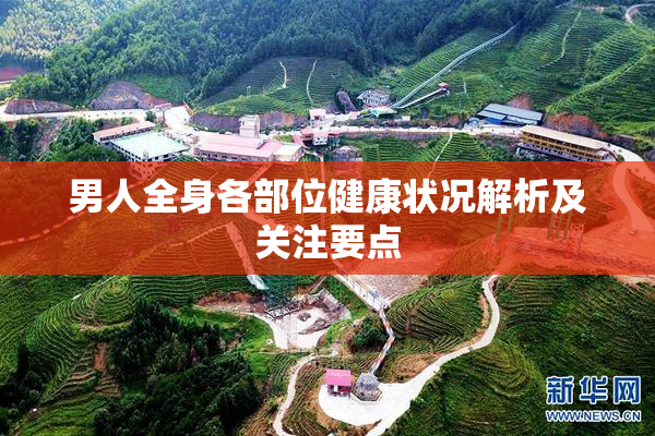 男人全身各部位健康状况解析及关注要点