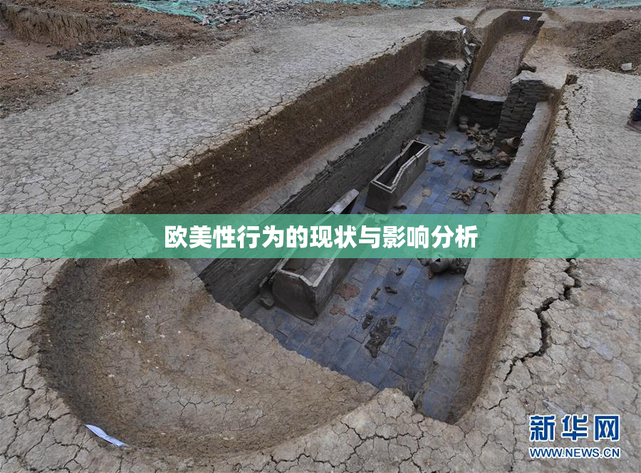 欧美性行为的现状与影响分析