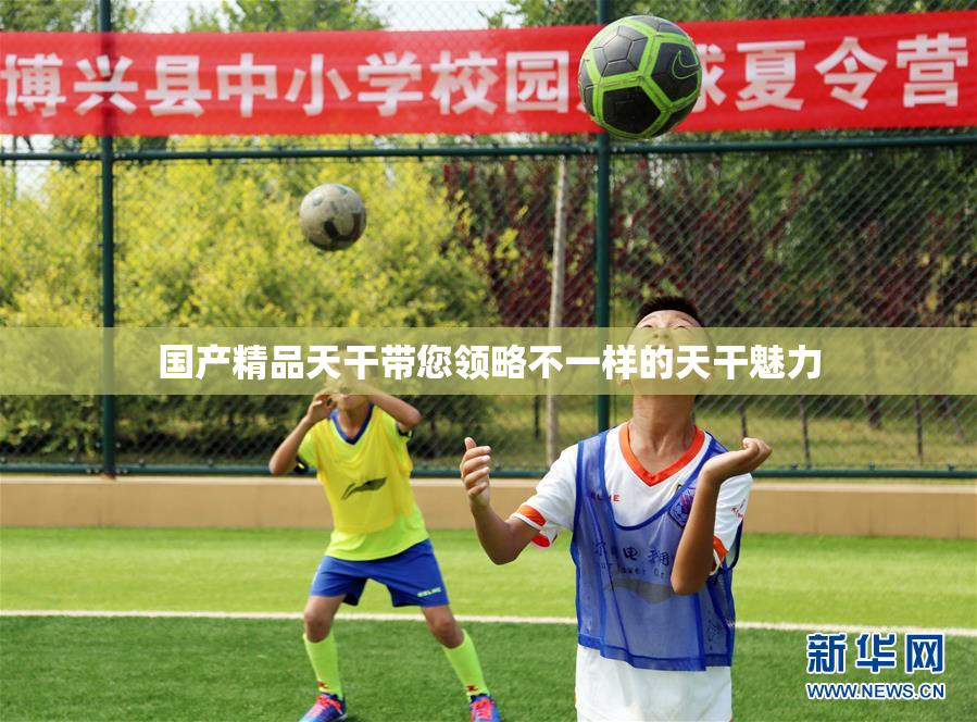 国产精品天干带您领略不一样的天干魅力