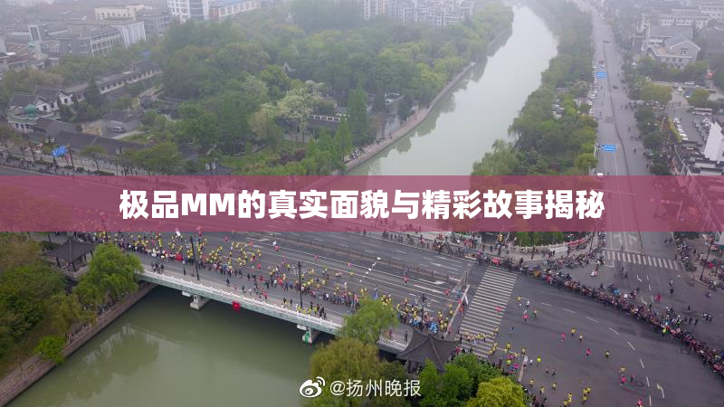 极品MM的真实面貌与精彩故事揭秘