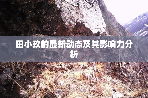 田小玟的最新动态及其影响力分析