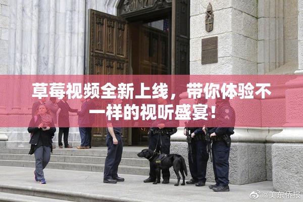 草莓视频全新上线，带你体验不一样的视听盛宴！