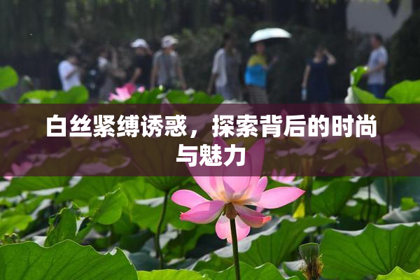 白丝紧缚诱惑，探索背后的时尚与魅力