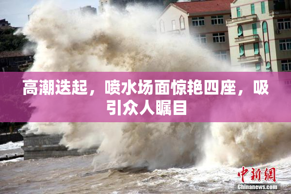 高潮迭起，喷水场面惊艳四座，吸引众人瞩目