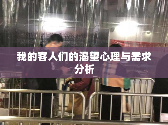 我的客人们的渴望心理与需求分析