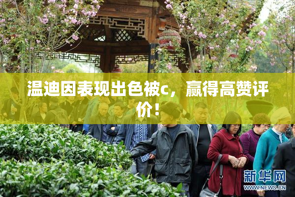 温迪因表现出色被c，赢得高赞评价！