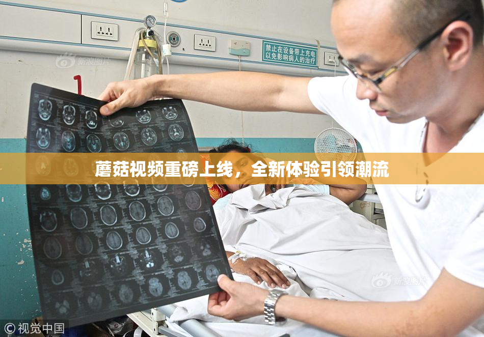 蘑菇视频重磅上线，全新体验引领潮流