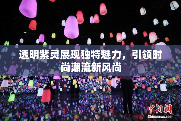 透明紫灵展现独特魅力，引领时尚潮流新风尚