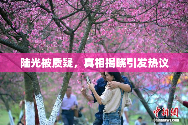陆光被质疑，真相揭晓引发热议