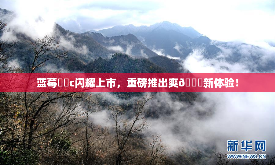 蓝莓❌‌c闪耀上市，重磅推出爽🔞新体验！