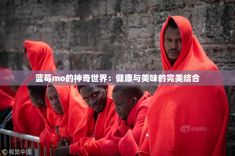 蓝莓mo的神奇世界：健康与美味的完美结合