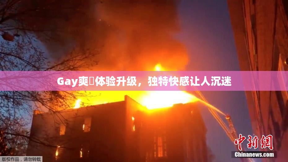 Gay爽擼体验升级，独特快感让人沉迷