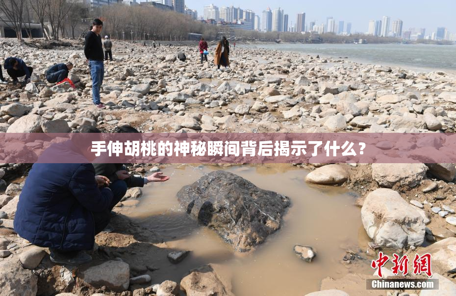 手伸胡桃的神秘瞬间背后揭示了什么？