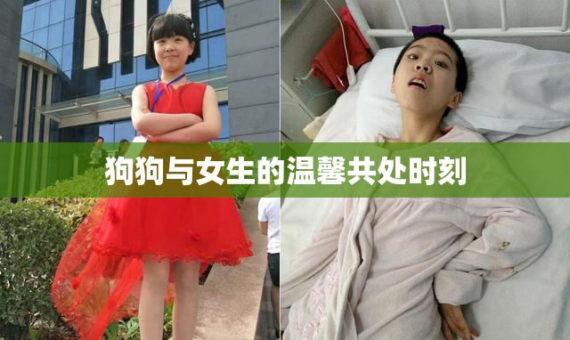 狗狗与女生的温馨共处时刻