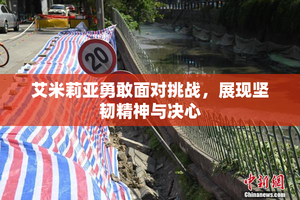 艾米莉亚勇敢面对挑战，展现坚韧精神与决心