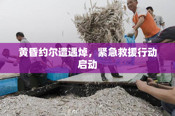 黄昏约尔遭遇焯，紧急救援行动启动