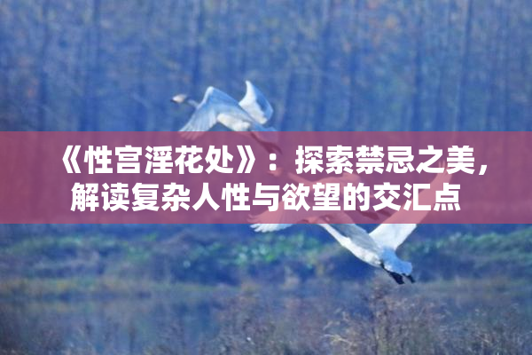 《性宫淫花处》：探索禁忌之美，解读复杂人性与欲望的交汇点