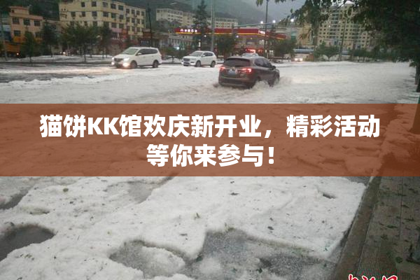 猫饼KK馆欢庆新开业，精彩活动等你来参与！