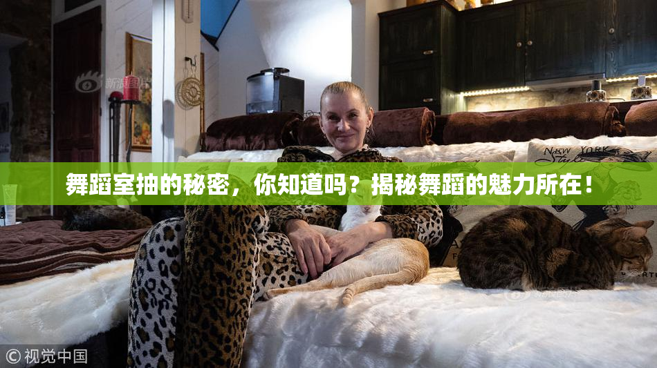 舞蹈室抽的秘密，你知道吗？揭秘舞蹈的魅力所在！
