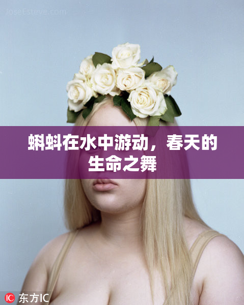 蝌蚪在水中游动，春天的生命之舞