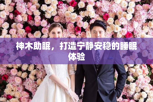 神木助眠，打造宁静安稳的睡眠体验
