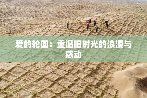 爱的轮回：重温旧时光的浪漫与感动