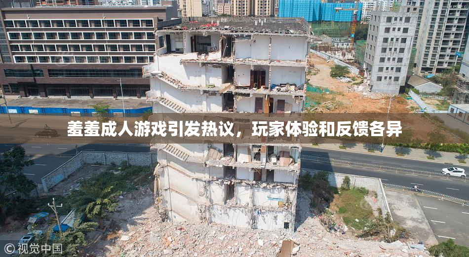 羞羞成人游戏引发热议，玩家体验和反馈各异