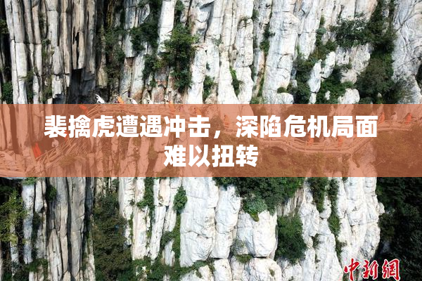 裴擒虎遭遇冲击，深陷危机局面难以扭转