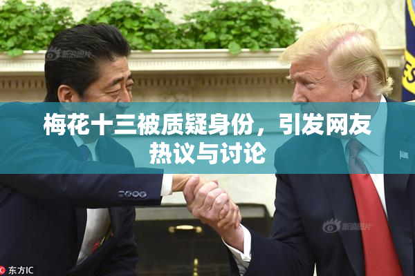 梅花十三被质疑身份，引发网友热议与讨论