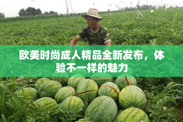 欧美时尚成人精品全新发布，体验不一样的魅力