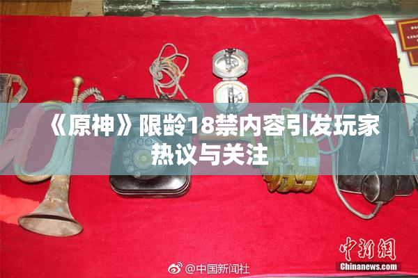 《原神》限龄18禁内容引发玩家热议与关注