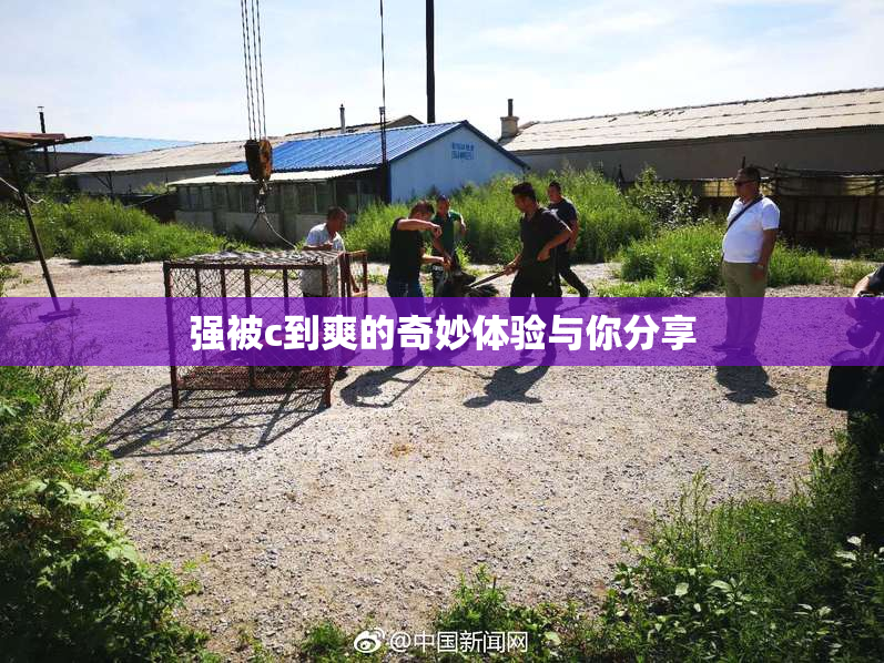 强被c到爽的奇妙体验与你分享