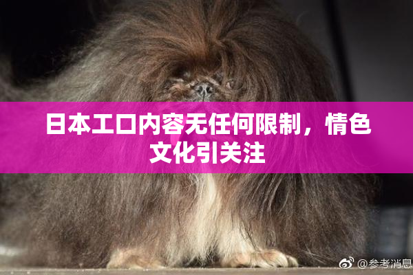 日本工口内容无任何限制，情色文化引关注