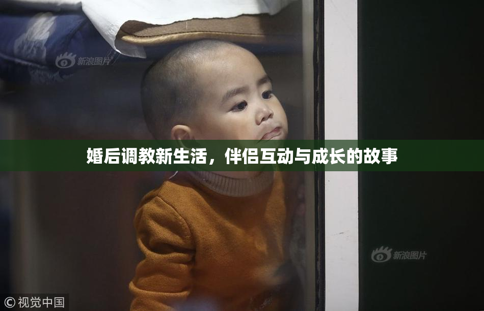 婚后调教新生活，伴侣互动与成长的故事